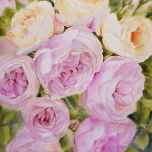 Roses
