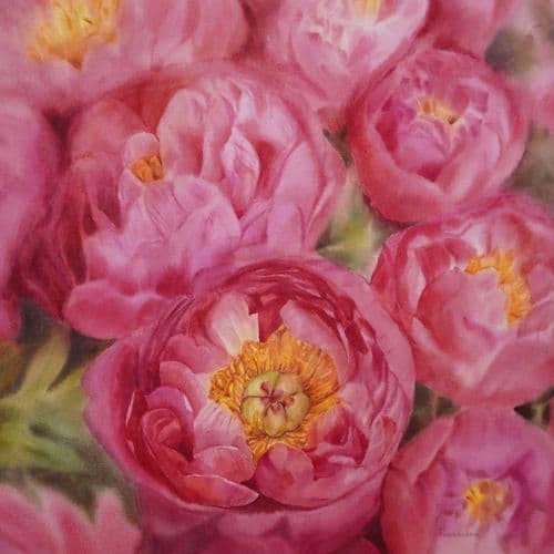 Peonies