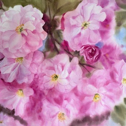Cherry Blossom